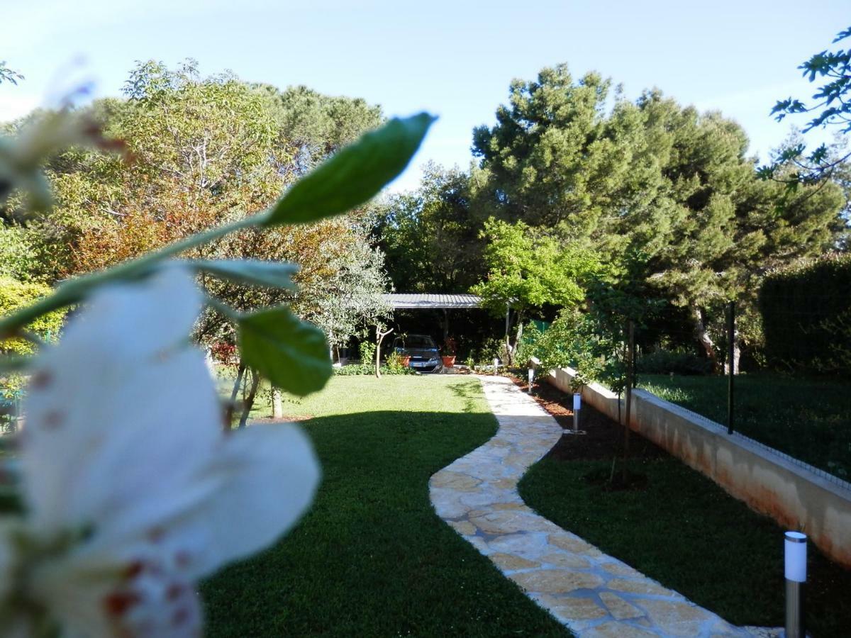 Luna Apartment Poreč Exteriör bild